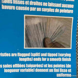 10 Piece Paint Brush Set